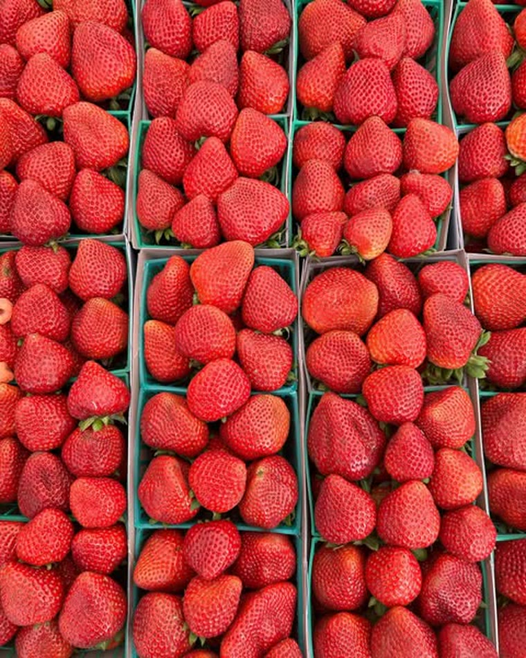 Trays of freshly picked strawberries in baskets at the JM Produce hub
