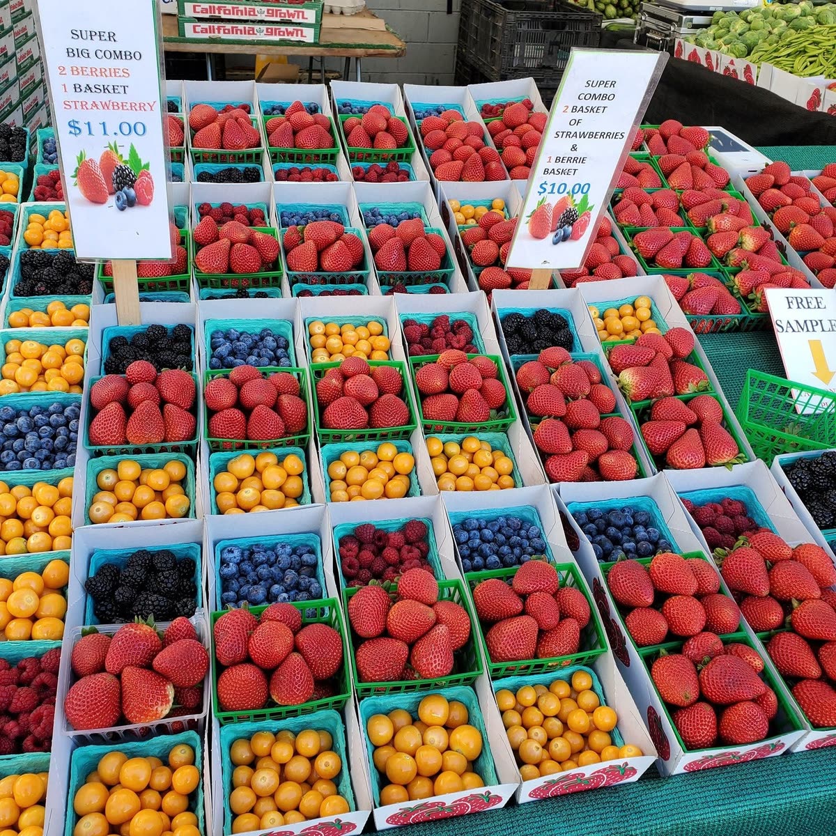 Baskets of strawberries, blueberries, blackberries and golden berries at market